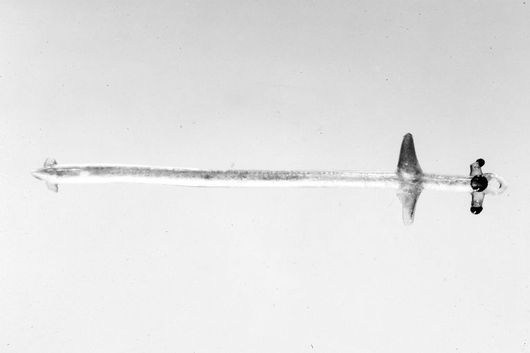 pendente - produzione muranese (sec. XVII)