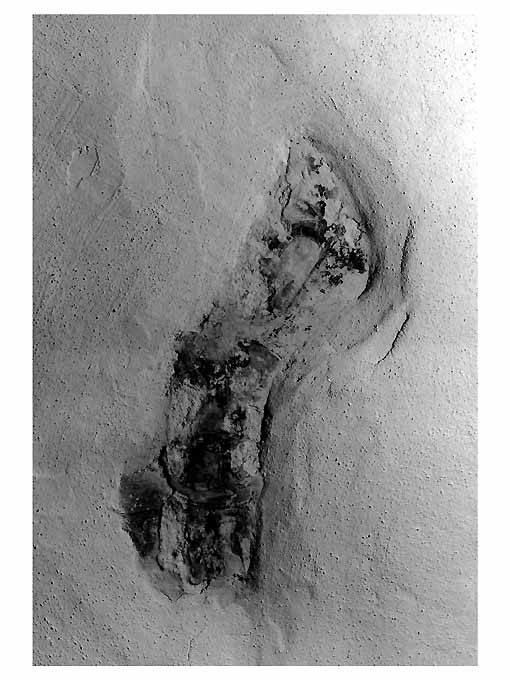 dipinto, frammento - ambito Italia meridionale (sec. XVI)