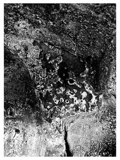 Santo (dipinto) - ambito pugliese (fine/inizio secc. XIII/ XIV)