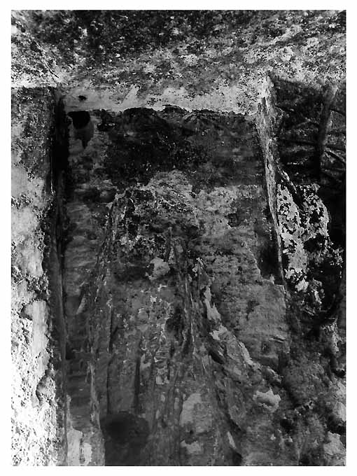 dipinto, frammento - ambito pugliese (sec. XIII)