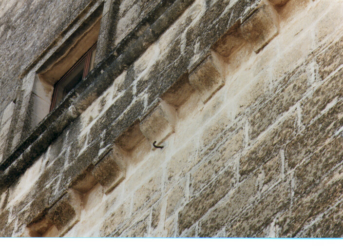 cornice architettonica - ambito salentino (sec. XVIII)
