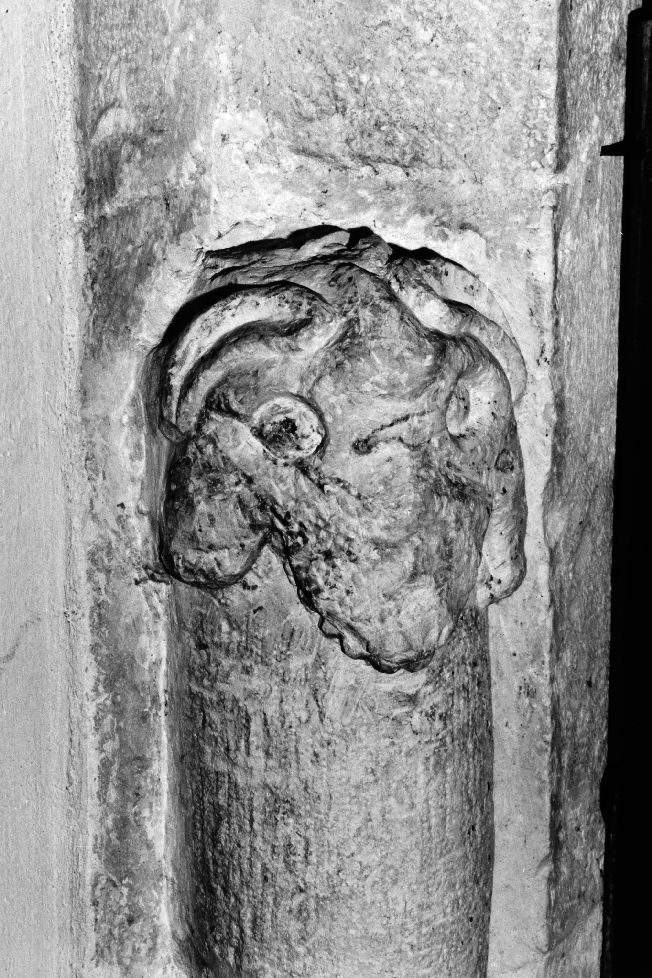 testa zoomorfa (peduccio) - ambito pugliese (prima metà sec. XIV)