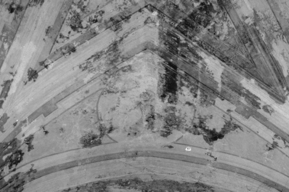 putto (dipinto) di Carbone Vincenzo (sec. XX)