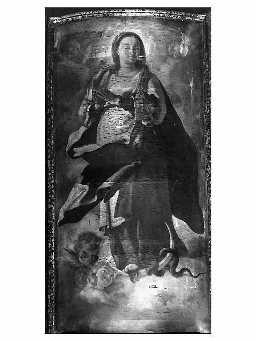 Madonna Immacolata (dipinto) di Olivieri Leonardo (attribuito) (sec. XVIII)