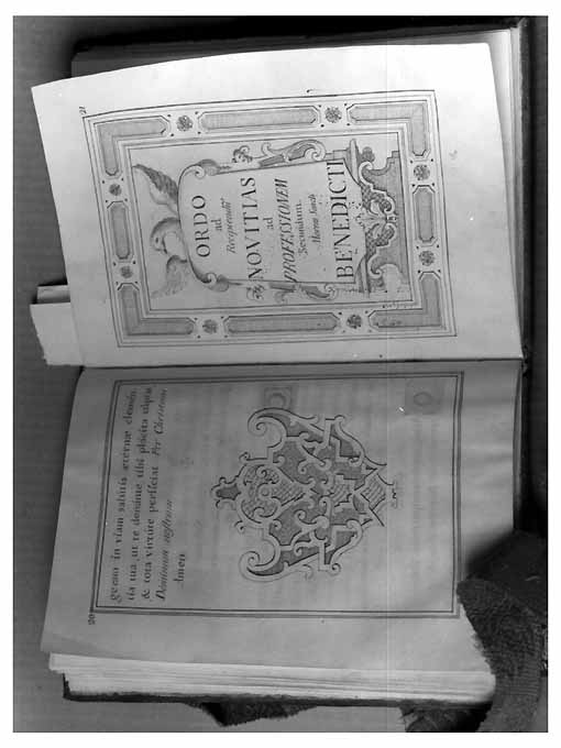 motivi decorativi geometrici e vegetali (miniatura) - ambito pugliese (sec. XVIII)