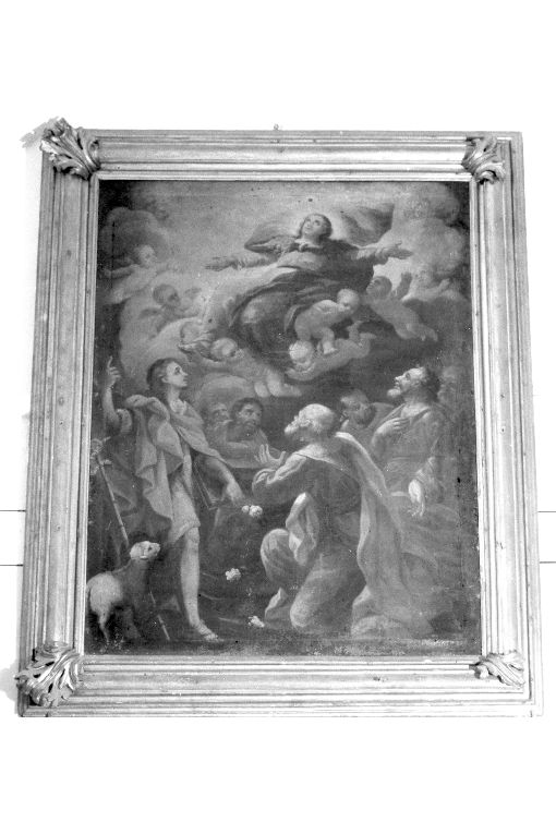 cornice di dipinto, opera isolata - ambito pugliese (seconda metà sec. XVIII)