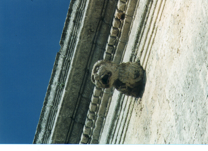 testa zoomorfa (doccione) - ambito salentino (sec. XVII)