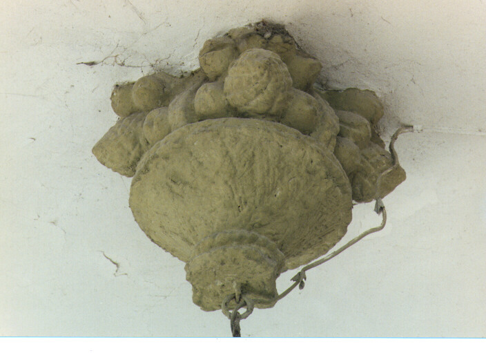 cesto con frutta (chiave di volta) - ambito salentino (sec. XVII)