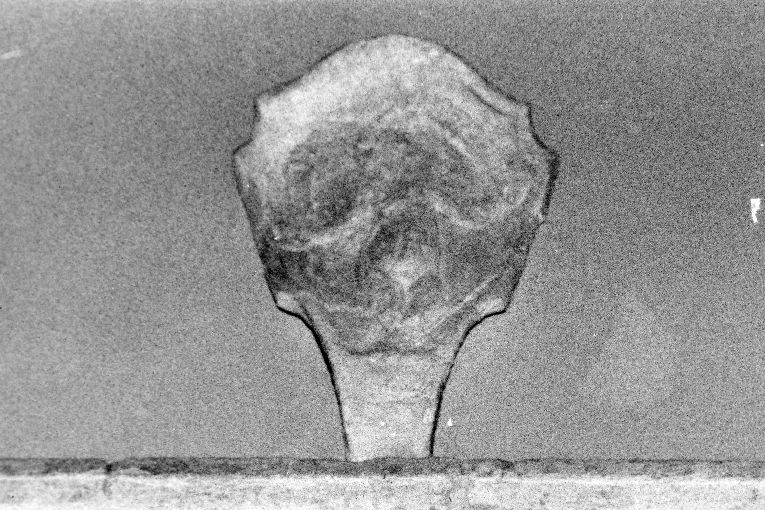 stemma gentilizio (rilievo) - produzione pugliese (sec. XVI)