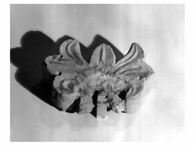 rilievo, frammento - bottega pugliese (sec. XV)