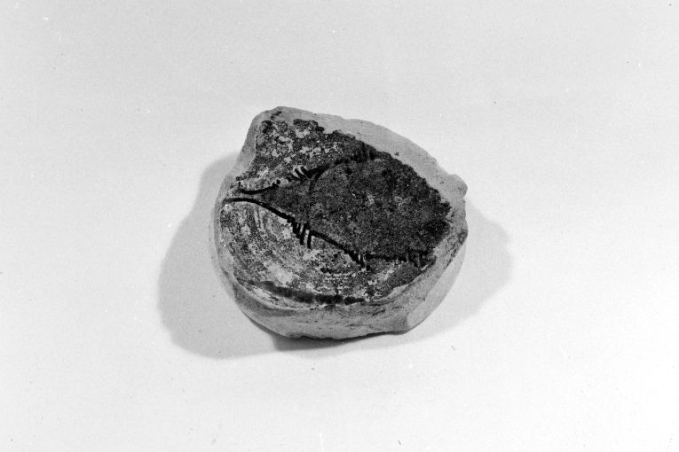 motivo decorativo zoomorfo (ciotola, frammento) - produzione apulo-lucana (sec. XIII)