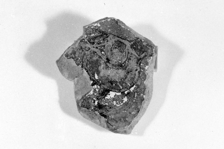 motivo decorativo zoomorfo (ciotola, frammento) - produzione apulo-lucana (sec. XIII)