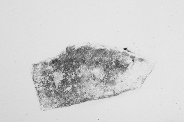 ciotola, frammento - produzione apulo-lucana (sec. XIII)