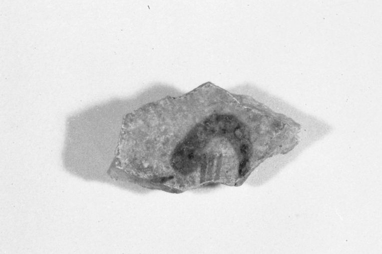 ciotola, frammento - produzione apulo-lucana (sec. XIII)