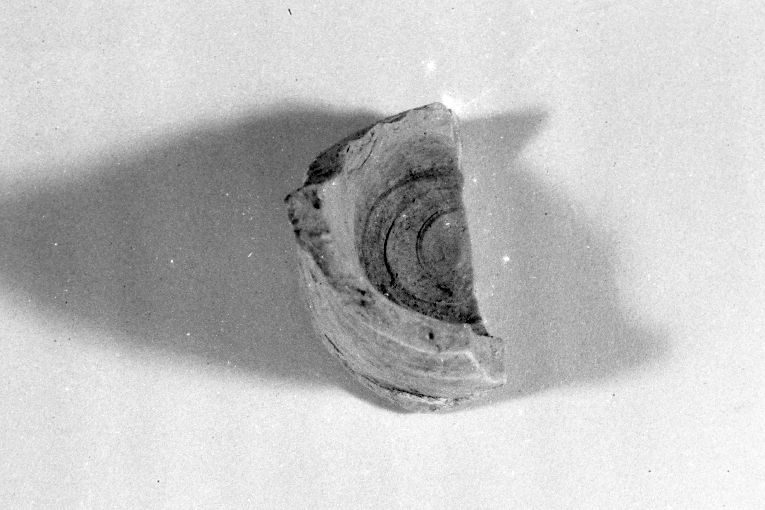 olla, frammento - produzione apulo-lucana (sec. XIII)