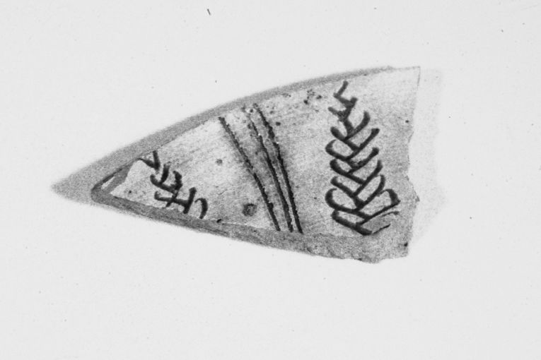 Ramoscelli (piatto, frammento) - produzione apulo-lucana (sec. XIII)
