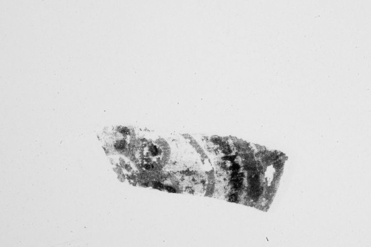 Fiore (brocca, frammento) - produzione apulo-lucana (inizio sec. XIV)