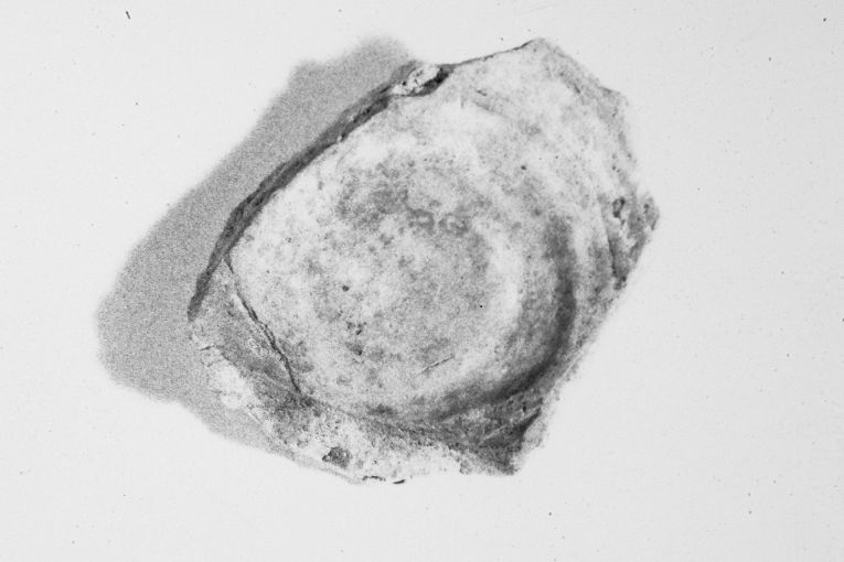 ciotola, frammento - produzione apulo-lucana (sec. XIII)