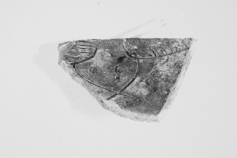 Uccello (?) (ciotola, frammento) - produzione apulo-lucana (sec. XIII)