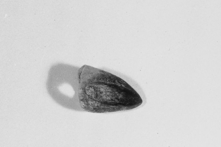 lucerna, frammento - produzione apulo-lucana (sec. XIII)