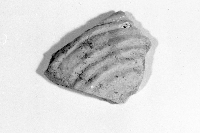 anfora, frammento - produzione Italia meridionale (fine sec. XII)