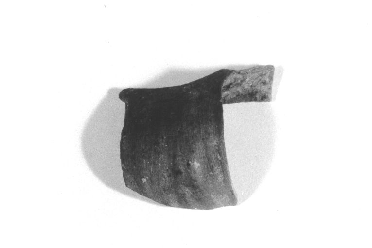 olla, frammento - produzione apulo-lucana (sec. XIII)