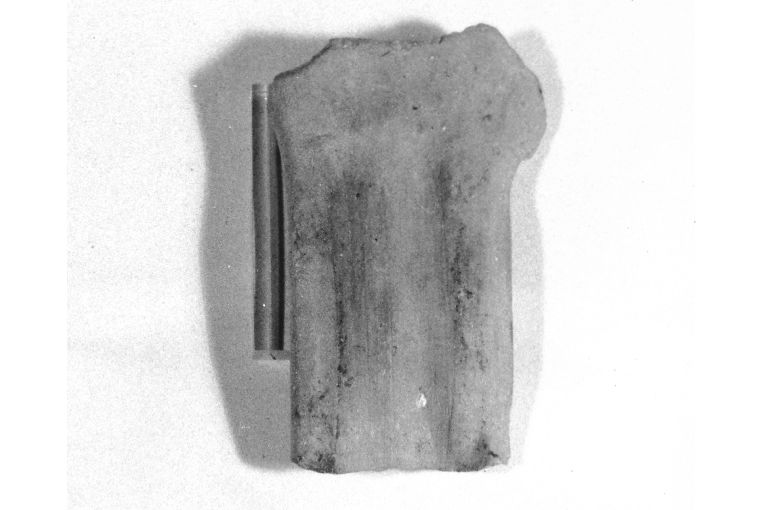 anfora, frammento - produzione apulo-lucana (sec. XIII)