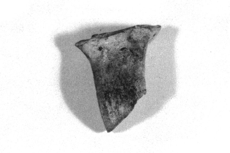 anfora, frammento - produzione apulo-lucana (sec. XIII)