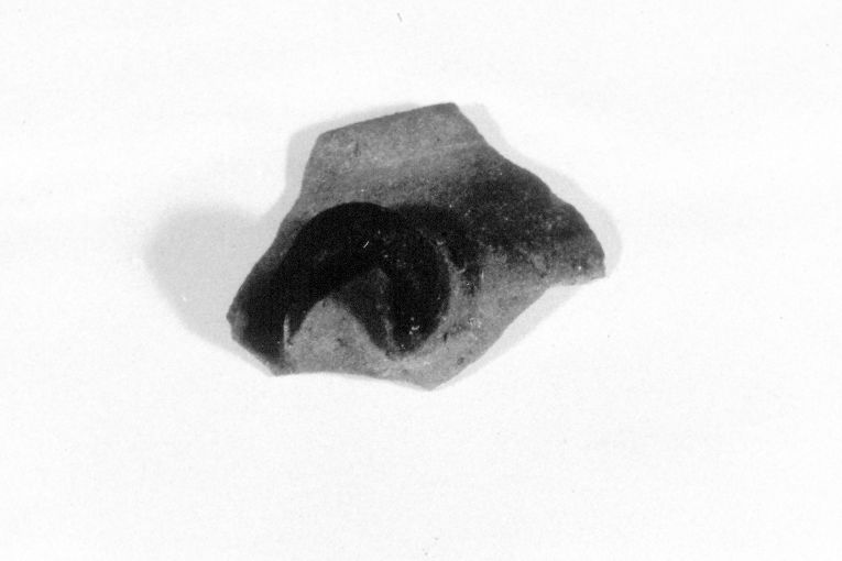 tazza, frammento - produzione apulo-lucana (sec. XIII)