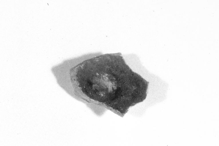 ciotola, frammento - produzione apulo-lucana (inizio sec. XIII)