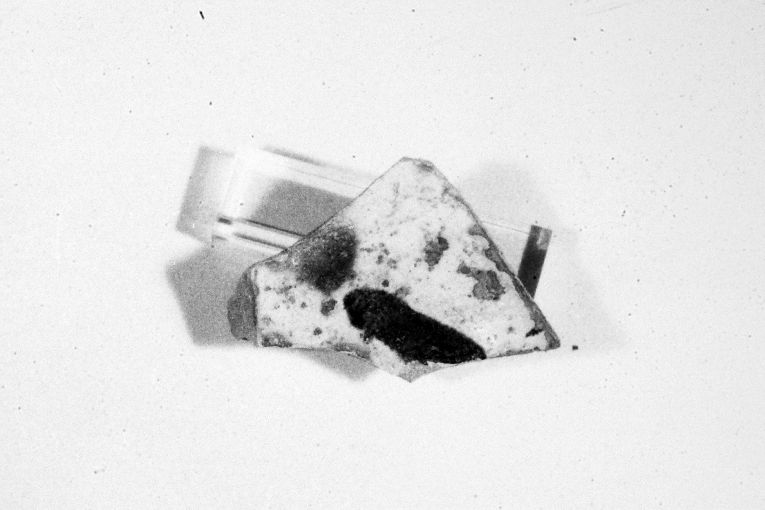 ciotola, frammento - produzione apulo-lucana (inizio sec. XIII)