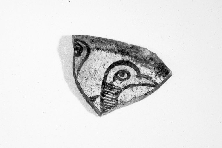 piatto, frammento - produzione apulo-lucana (sec. XIII)