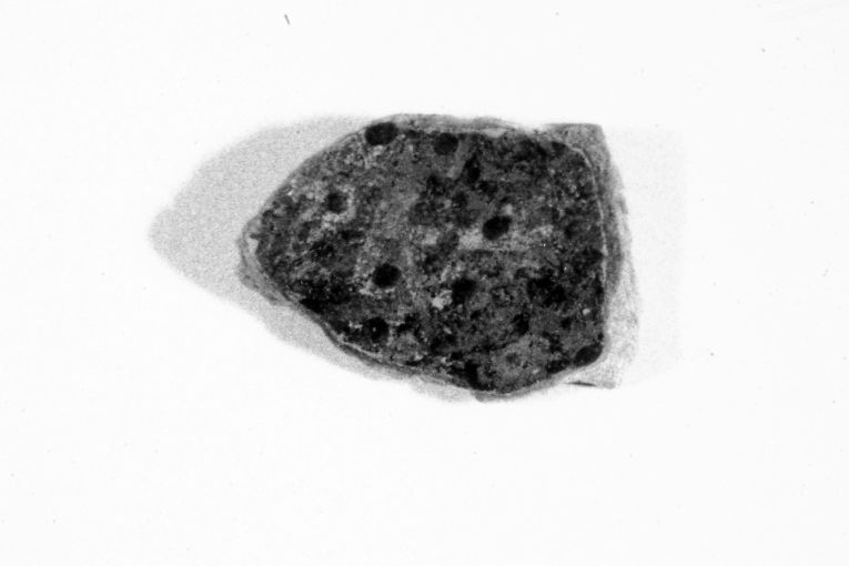 ciotola, frammento - produzione apulo-lucana (sec. XIII)