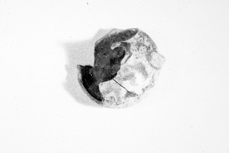 lucerna, frammento - produzione apulo-lucana (fine/inizio secc. XIII/ XIV)