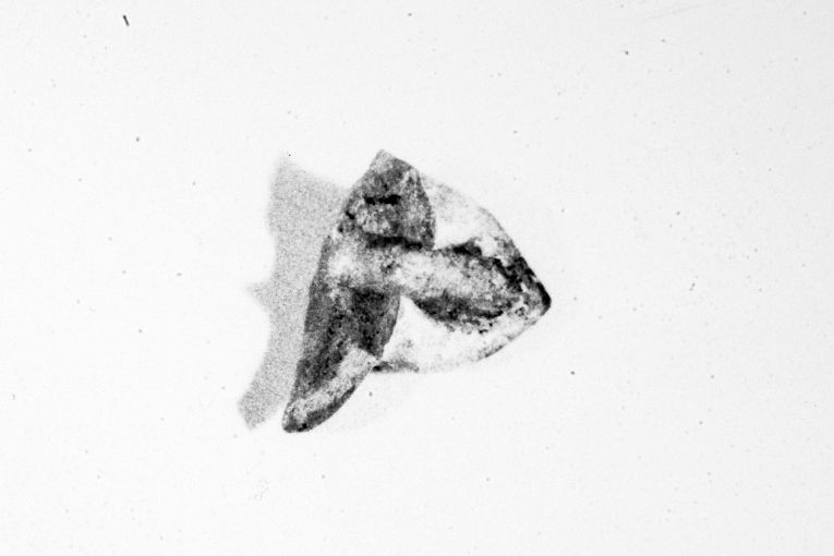 lucerna, frammento - produzione apulo-lucana (fine sec. XIII)