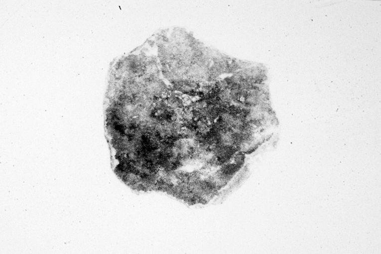 ciotola, frammento - produzione apulo-lucana (sec. XIII)