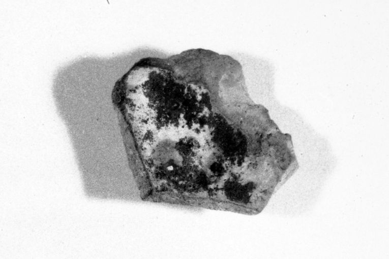 ciotola, frammento - produzione apulo-lucana (inizio sec. XIII)