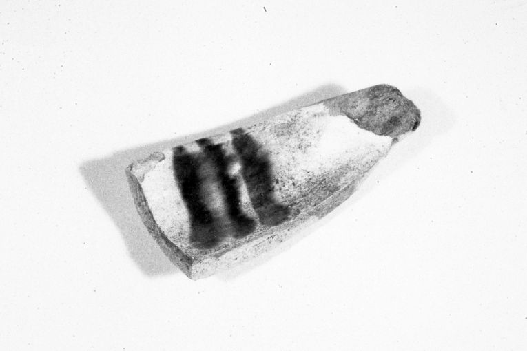 ciotola, frammento - produzione apulo-lucana (inizio sec. XIII)