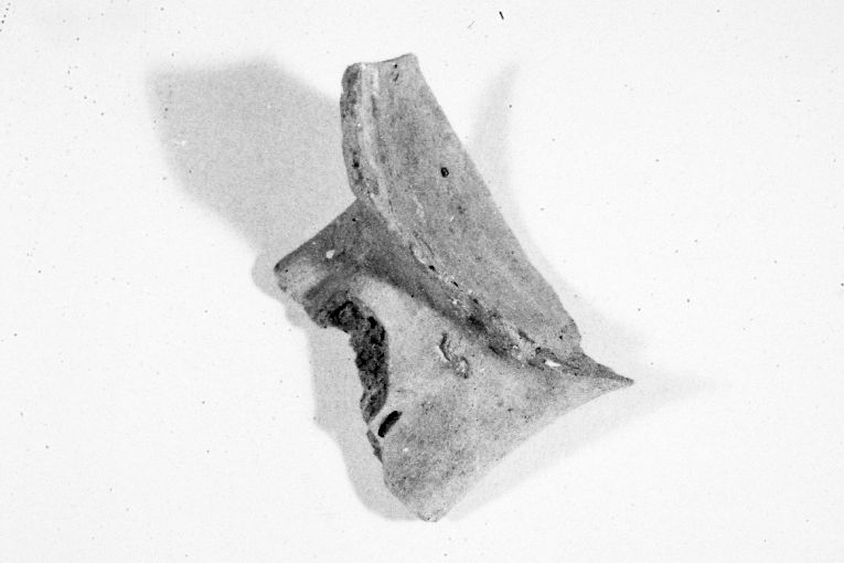 anfora, frammento - produzione apulo-lucana (inizio sec. XIII)