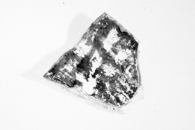 ciotola, frammento - produzione apulo-lucana (metà sec. XIII)