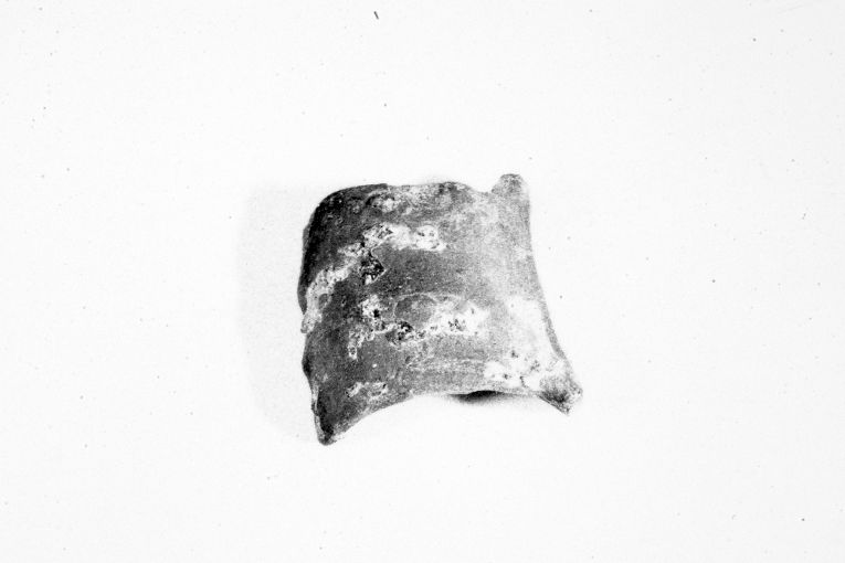 anfora, frammento - produzione apulo-lucana (metà sec. XIII)