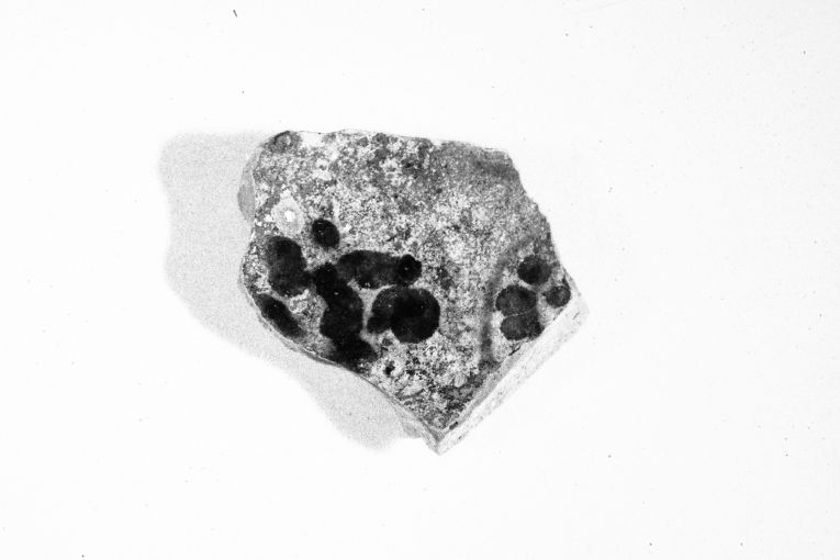 ciotola, frammento - produzione apulo-lucana (metà sec. XIII)