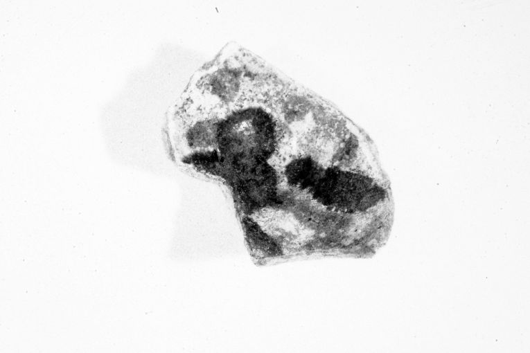 motivo decorativo geometrico (ciotola, frammento) - produzione apulo-lucana (inizio sec. XIII)