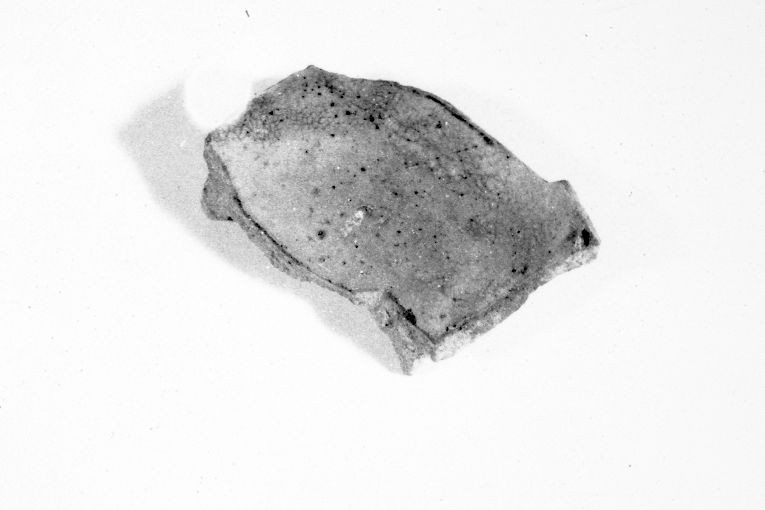 ciotola, frammento - produzione apulo-lucana (inizio sec. XIV)