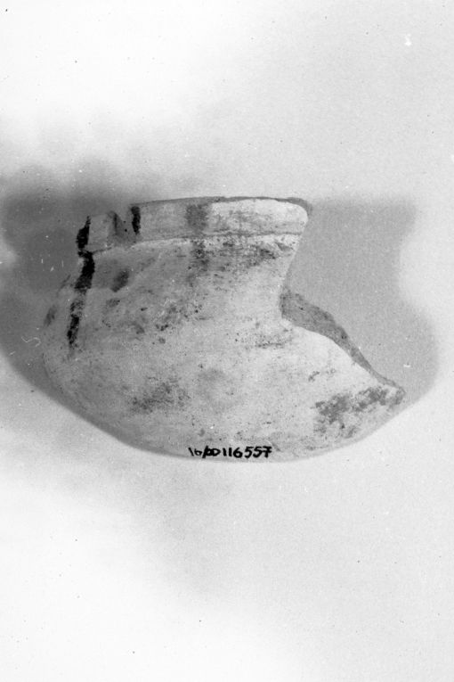 ciotola, frammento - produzione apulo-lucana (metà sec. XIII)