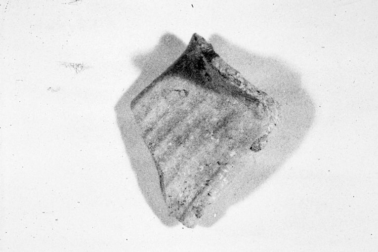 anfora, frammento - produzione apulo-lucana (inizio sec. XIII)