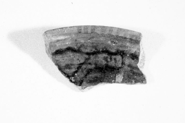 ciotola, frammento - produzione apulo-lucana (inizio sec. XIV)