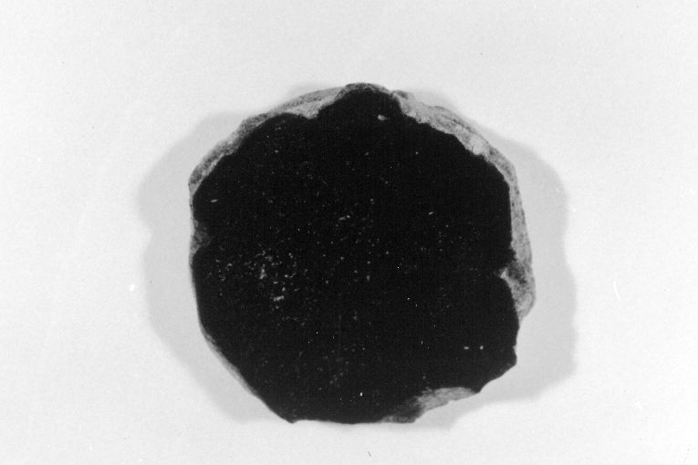 ciotola, frammento - produzione apulo-lucana (inizio sec. XIV)