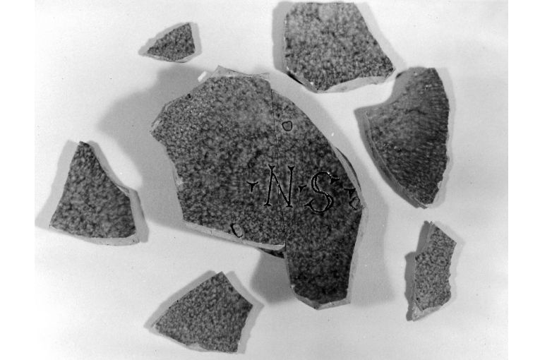 piatto, frammento - produzione apulo-lucana (metà sec. XVI)