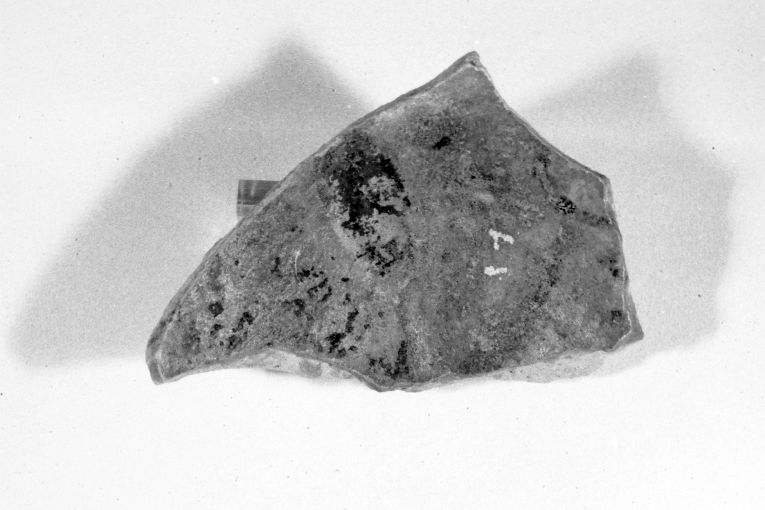 motivo decorativo fitomorfo (ciotola, frammento) - produzione apulo-lucana (sec. XIII)